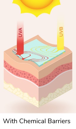 Sunscreen Breakdown What, Why, and How: Sunscreen – Brianna Rae