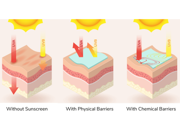 What, Why, and How:&nbsp;Sunscreen